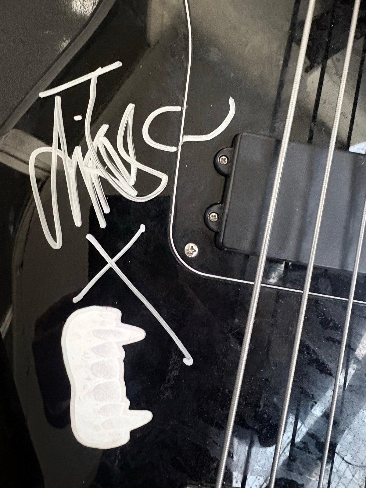 Tour-Used & Signed Jaguar Bass IAMX / Aux Animaux