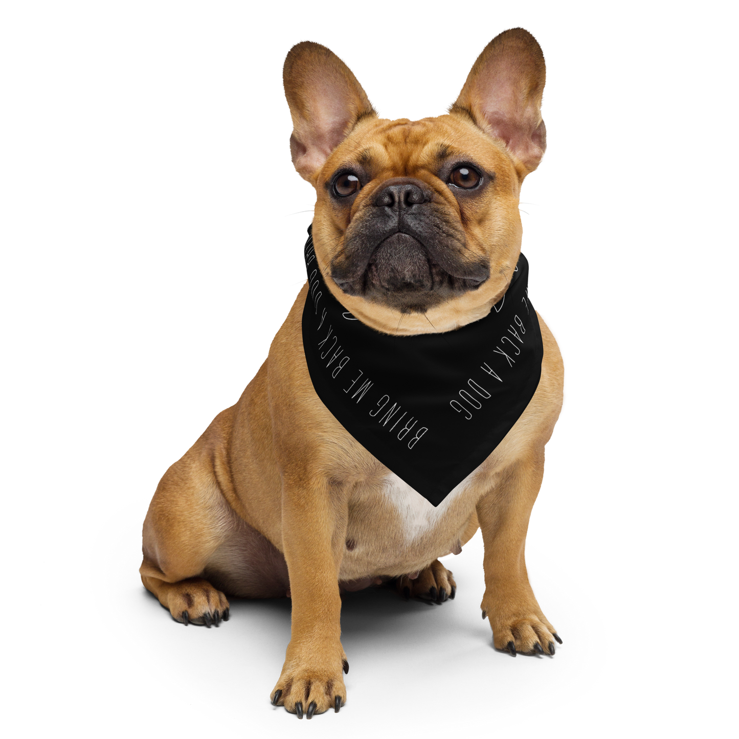 Bandana - Bring Me Back A Dog