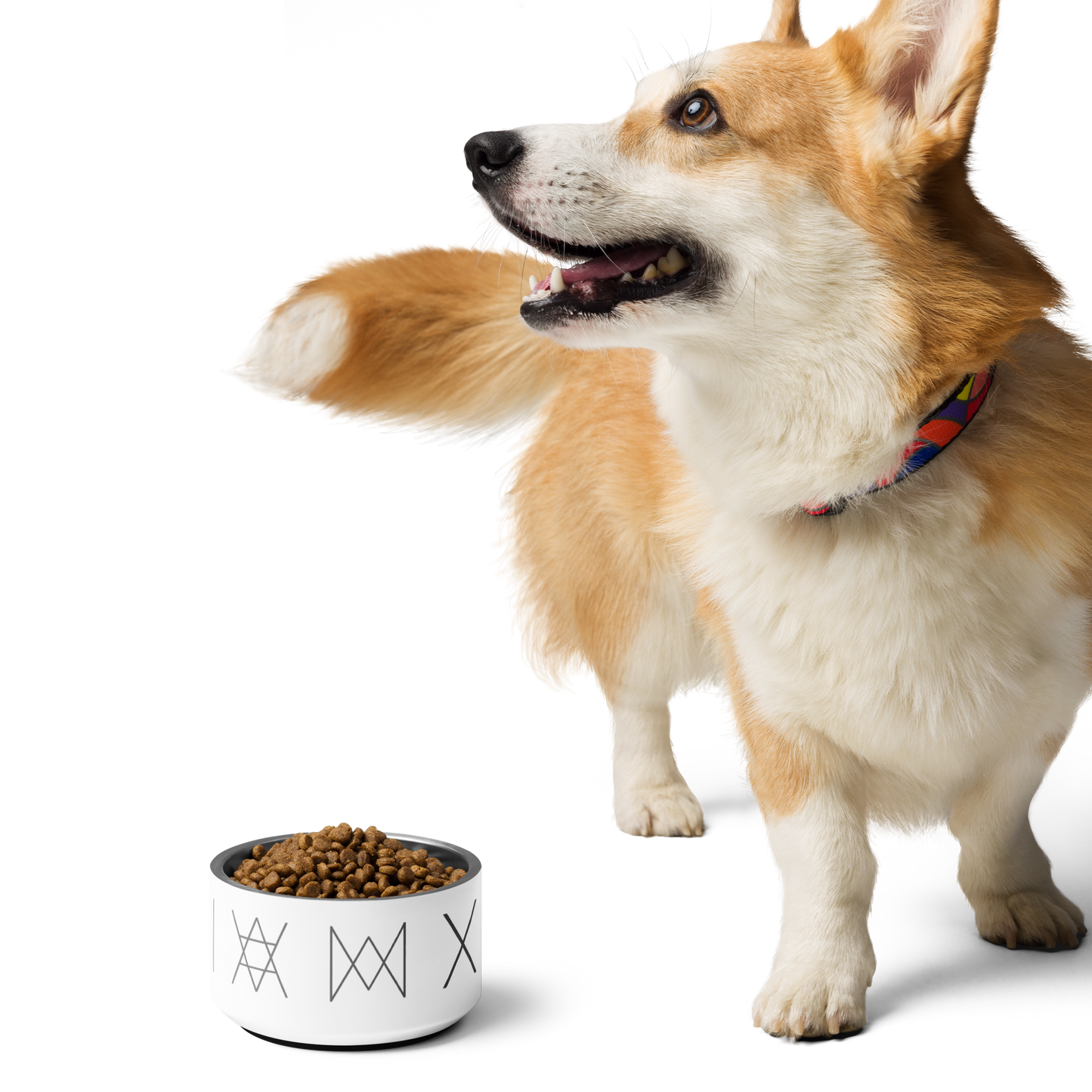 Pet Bowl - Mirror Logo