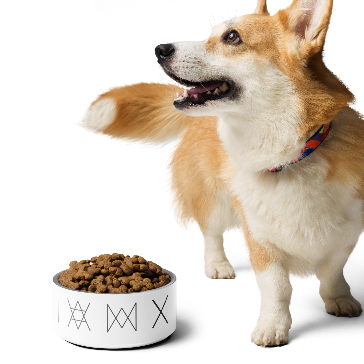 Pet Bowl - Mirror Logo