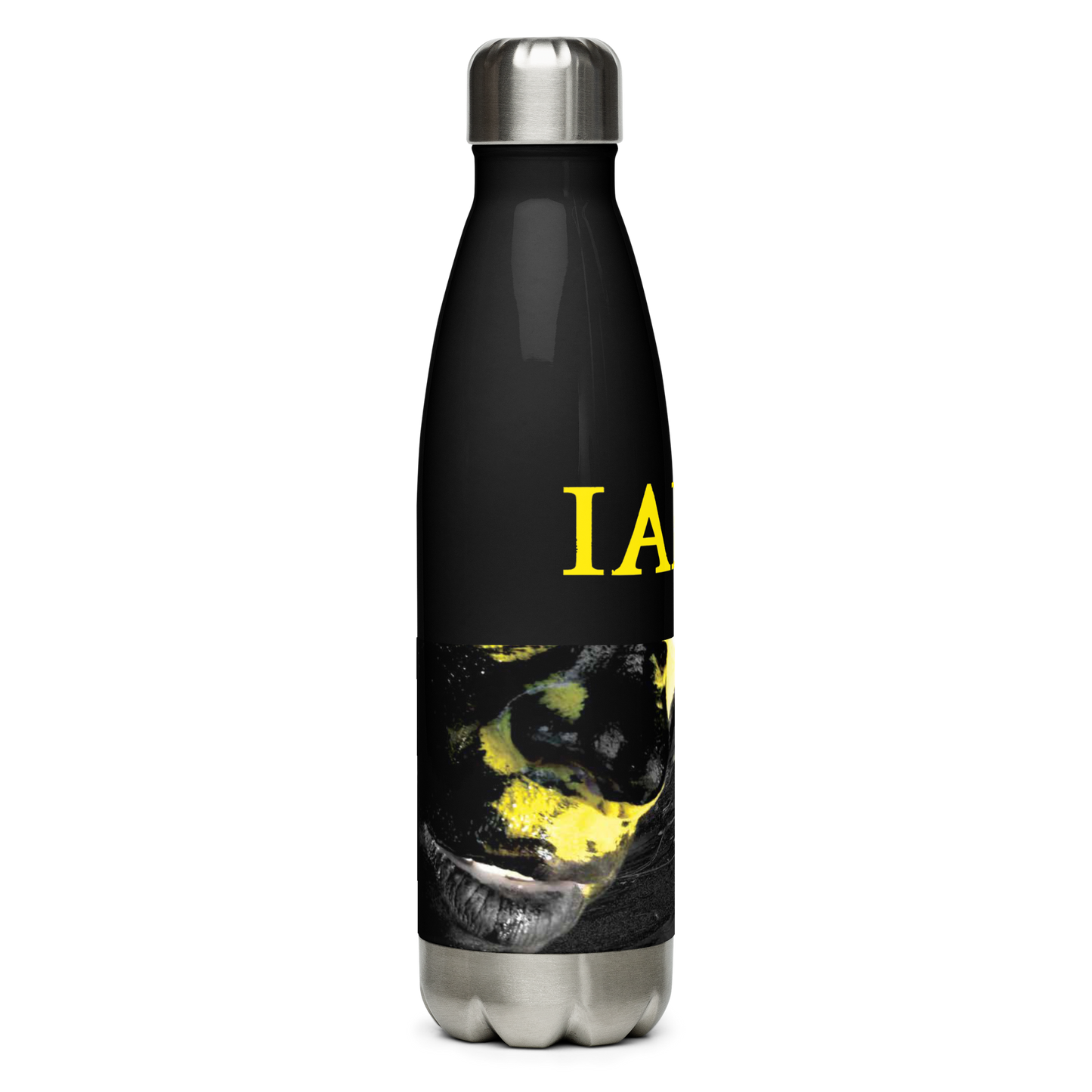 Insulated Stainless Steel Bottle - The Alternative