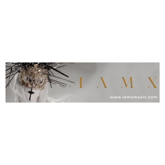 IAMX Fault Lines² Tour Bumper Sticker