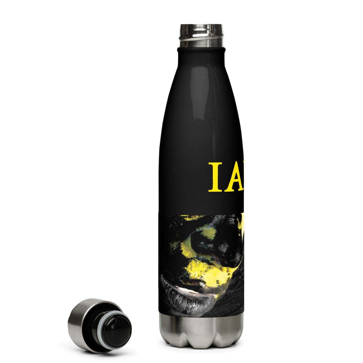Insulated Stainless Steel Bottle - The Alternative