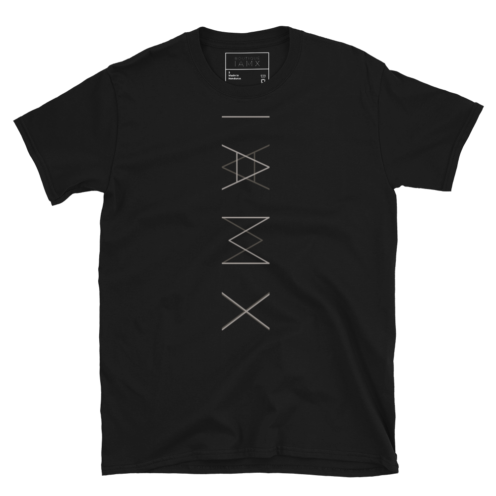T-Shirt Unisex - Fault Lines¹ North America Tour Shirt